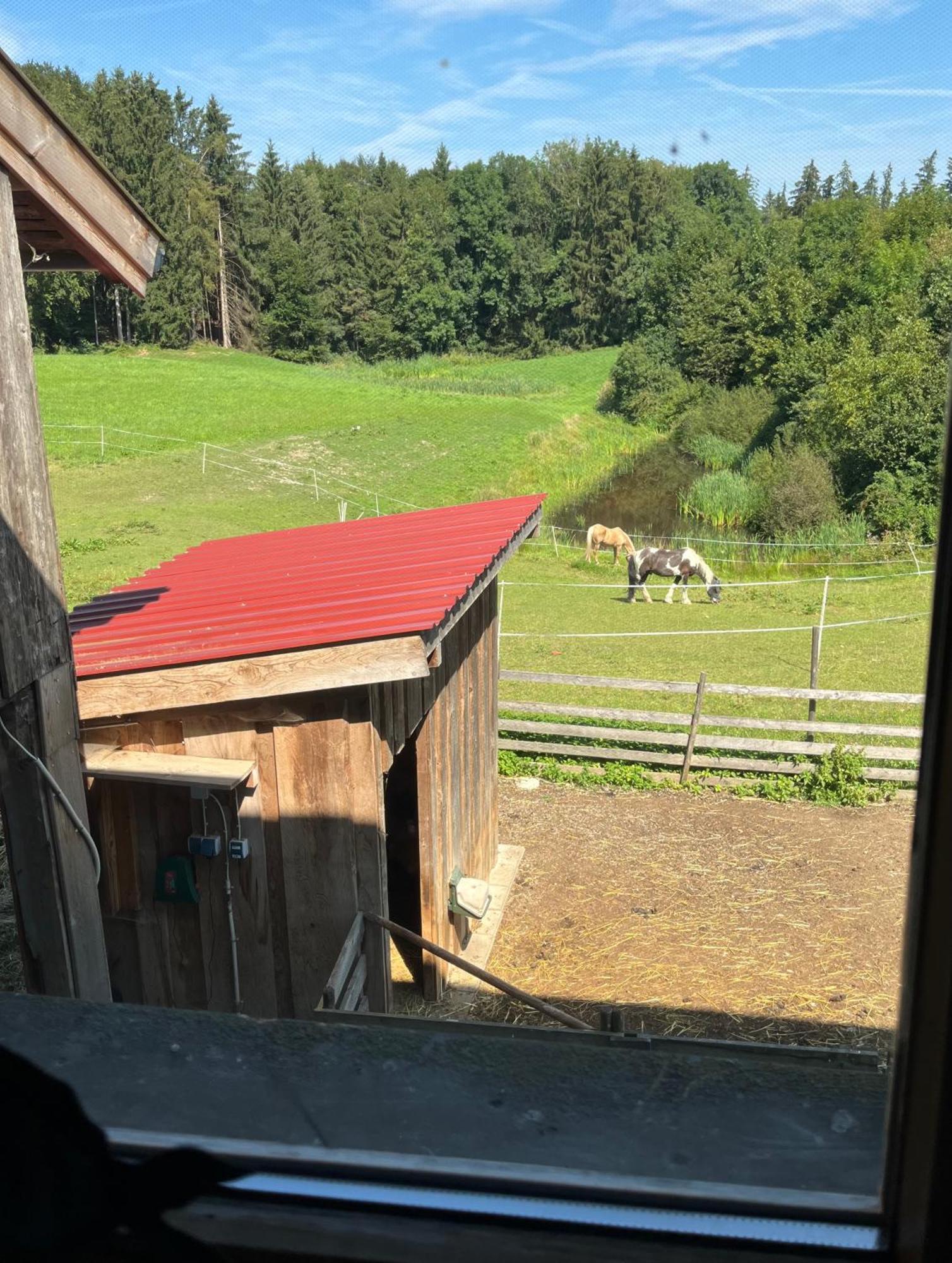 Ferienwohnung Metzner Gars Luaran gambar