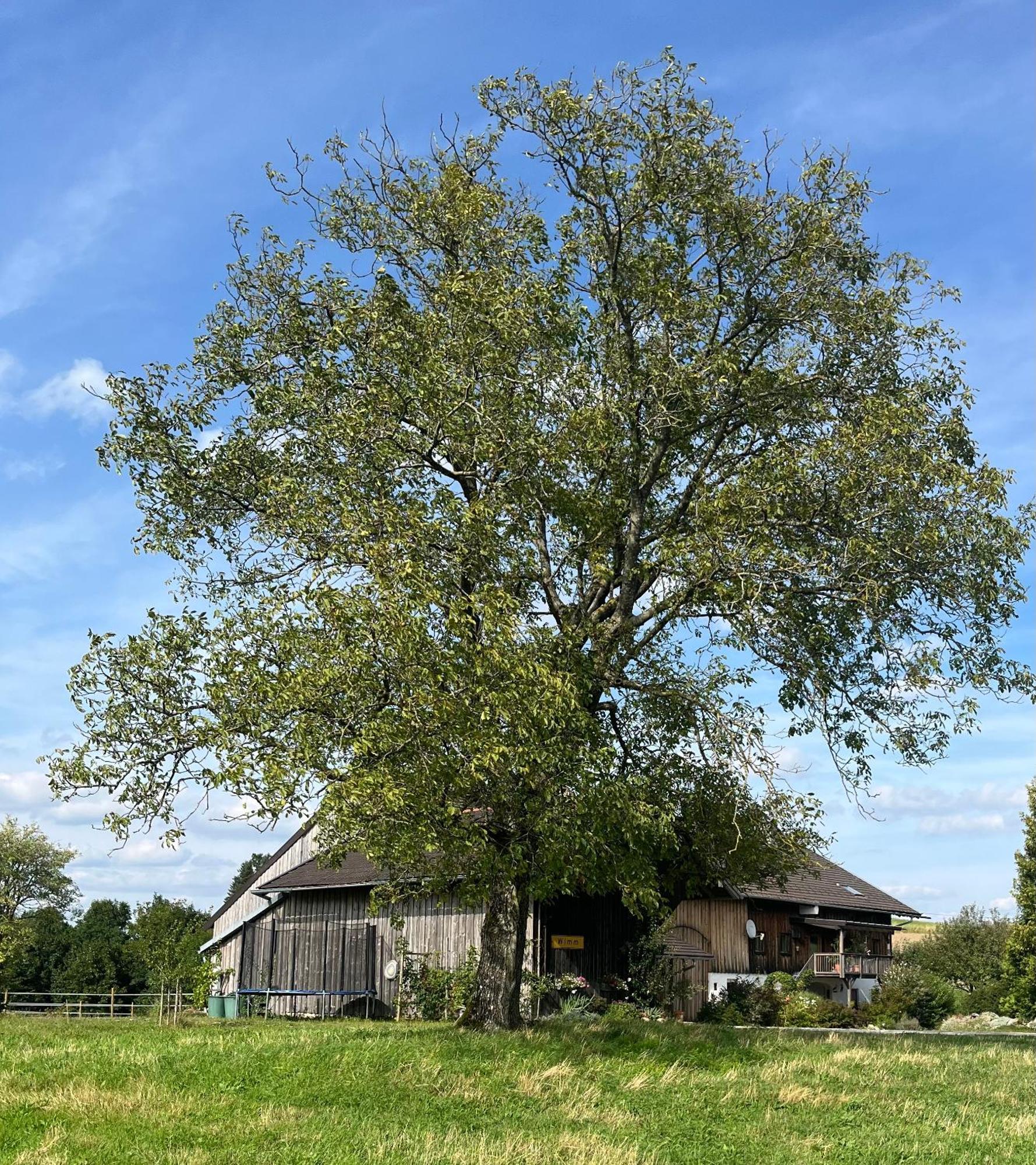Ferienwohnung Metzner Gars Luaran gambar